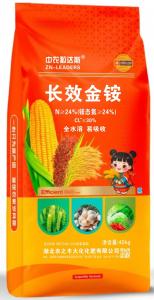 長效金銨